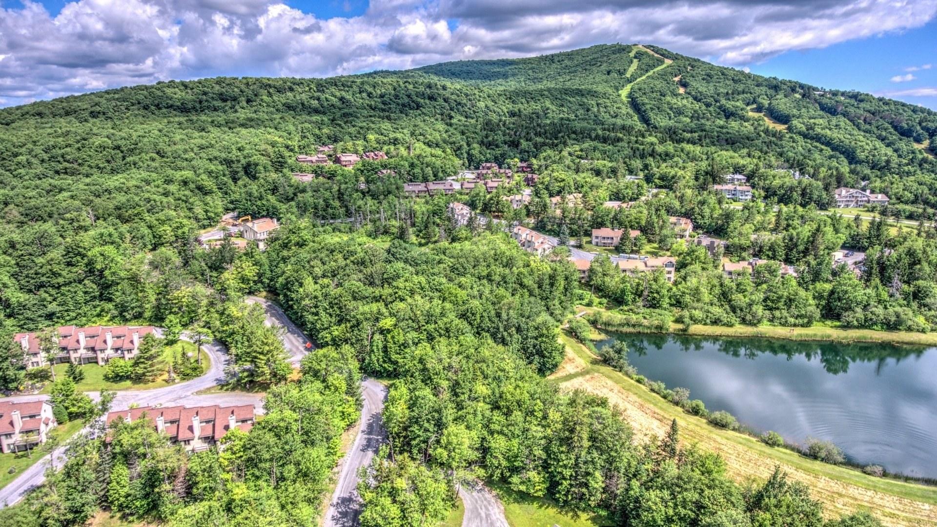 Village Drone Summer