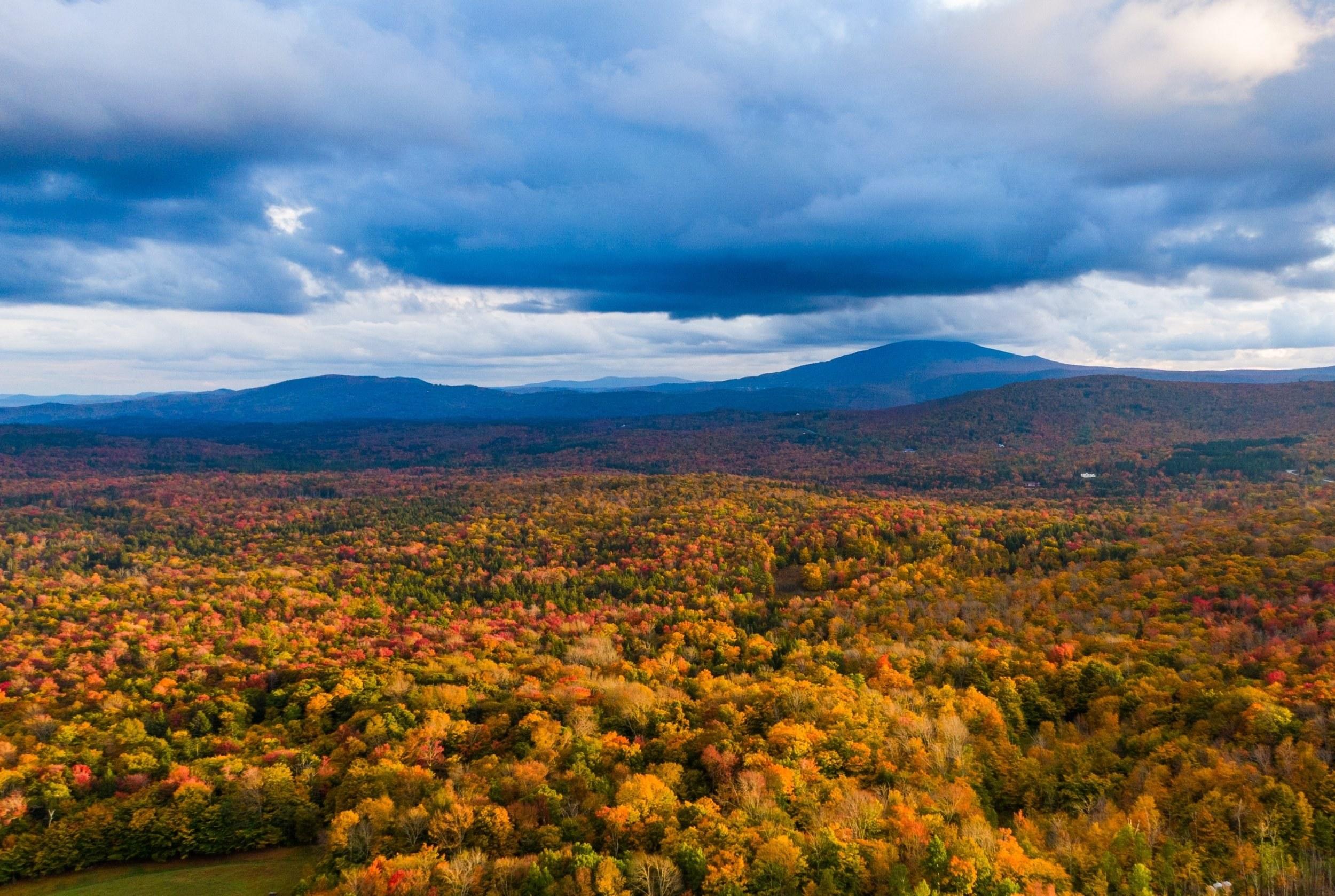 Fall Footer