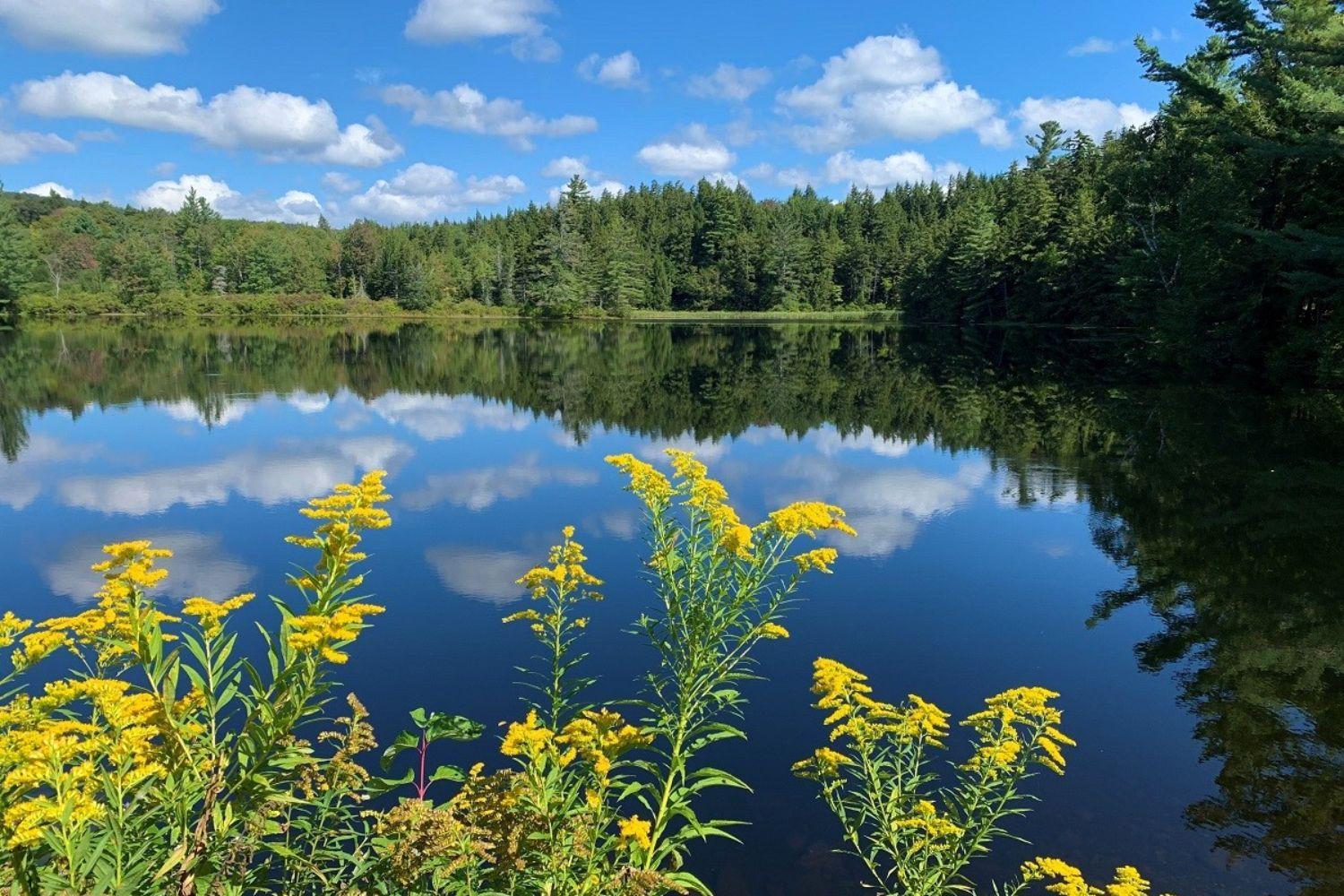 Hapgood Pond Loop