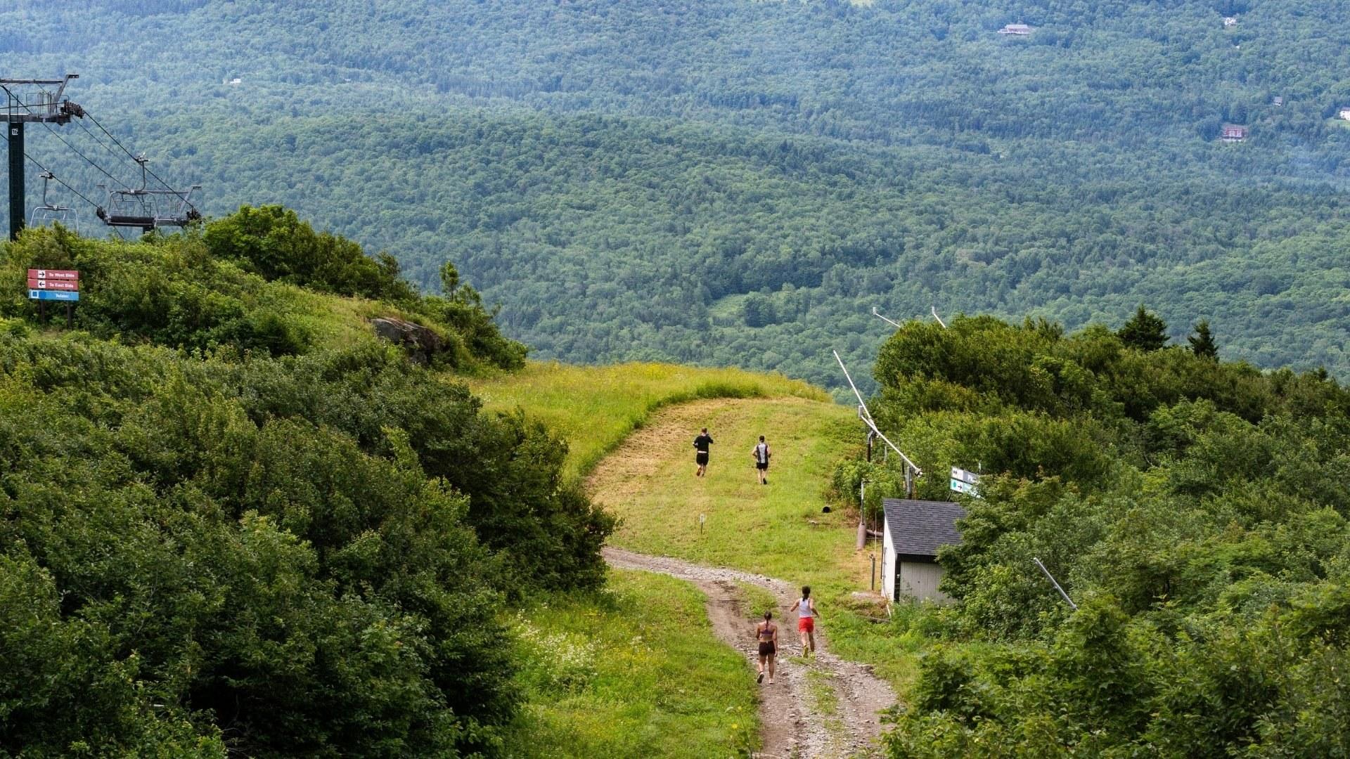 Hiking